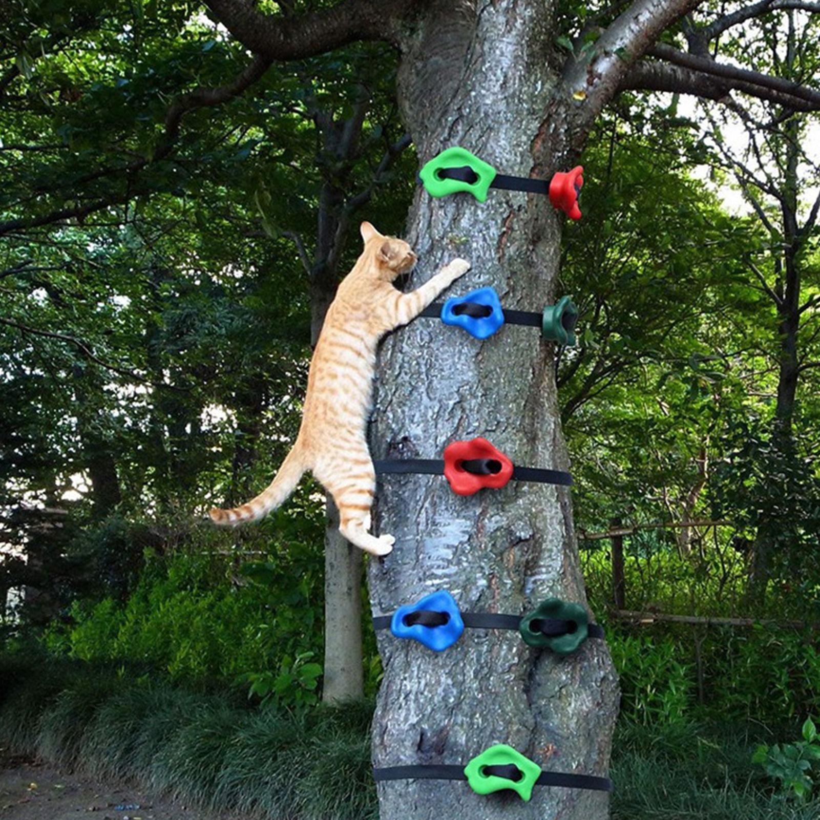 Tree Climbing Equipment Adjust - Outdoor Adventure Store 评论和价格